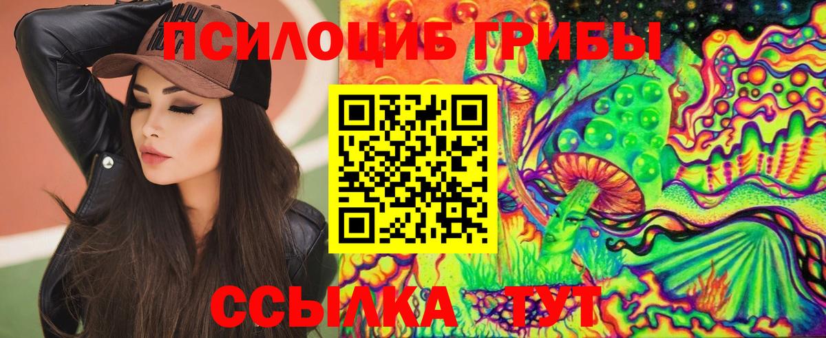Псилоцибиновые грибы Cubensis  Псилоцибиновые грибы MAGIC MUSHROOMS  Дербент  Вход с VPN 